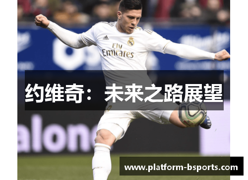 约维奇：未来之路展望