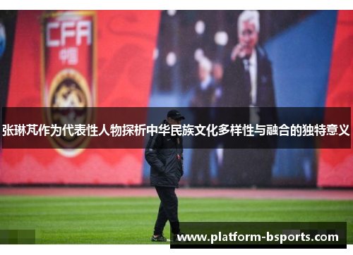 张琳芃作为代表性人物探析中华民族文化多样性与融合的独特意义