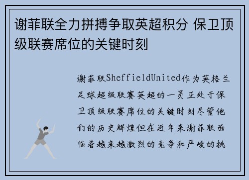 谢菲联全力拼搏争取英超积分 保卫顶级联赛席位的关键时刻